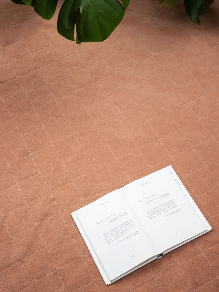 Плед для пикника Soft & Dry 2, бежевый / Миниатюра имиджевого (1000)