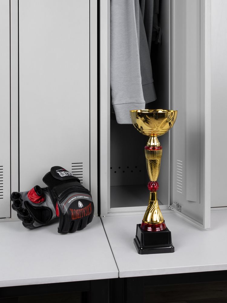 Кубок Awardee, средний, красный / Миниатюра имиджевого (1000)