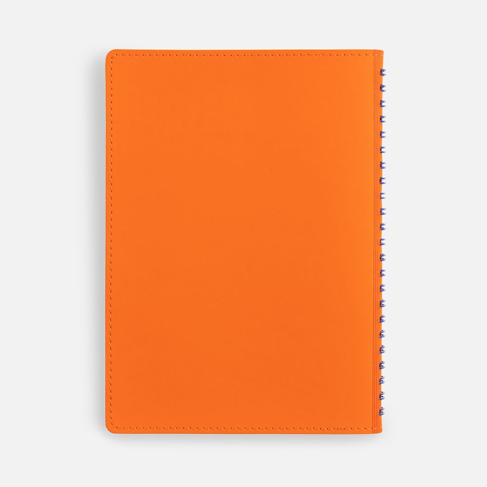 Ежедневник Spring Shall, недатированный, оранжевый / Миниатюра WWW (1000)