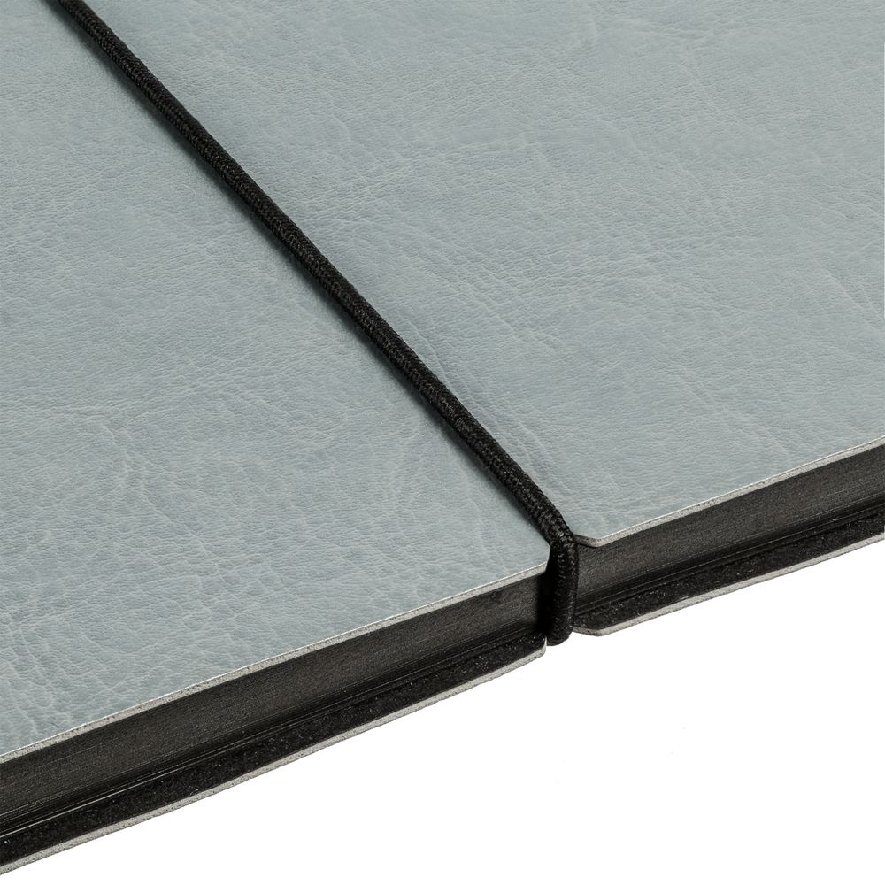 Ежедневник Shine, недатированный, серебристый / Миниатюра WWW (1000)