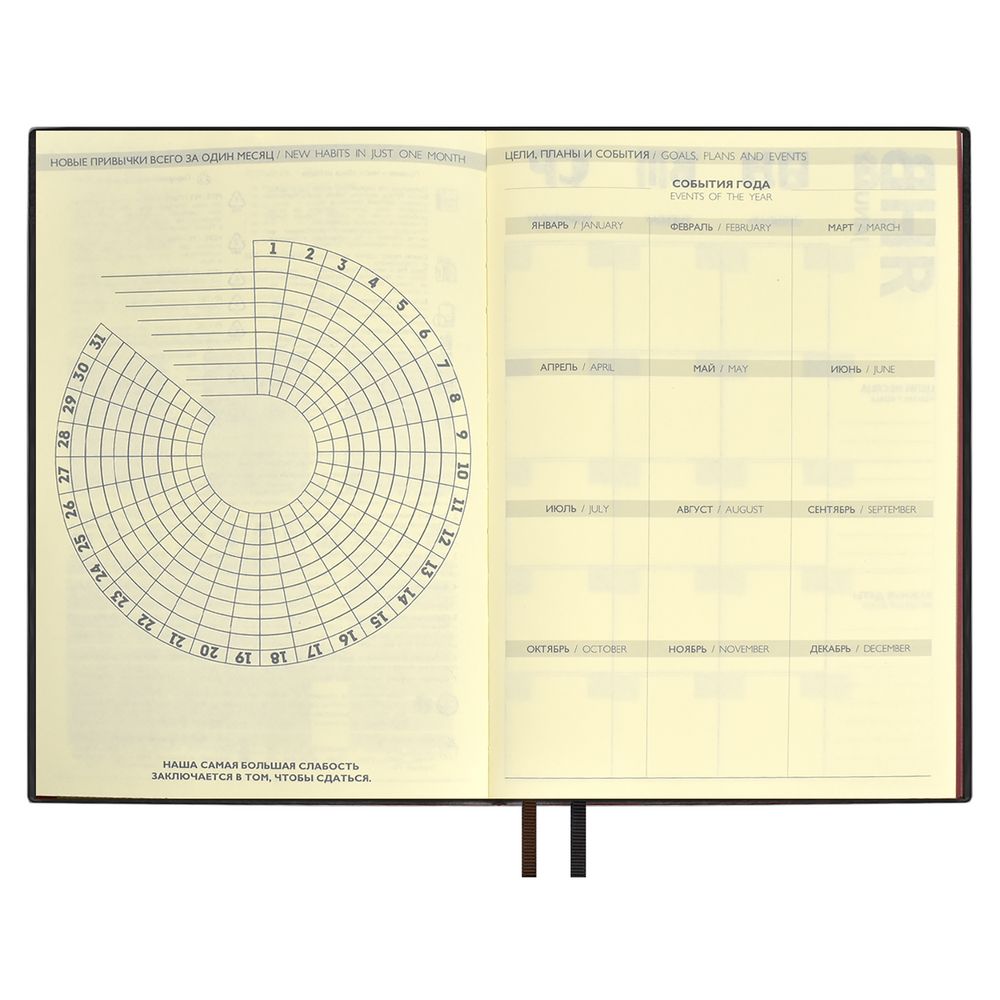 Ежедневник Avila, недатированный, коричневый / Миниатюра WWW (1000)