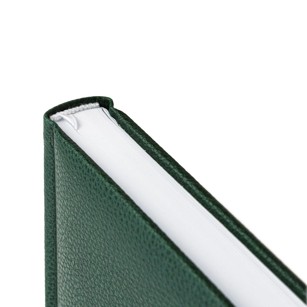 Ежедневник Sagrin, недатированный, зеленый / Миниатюра WWW (1000)