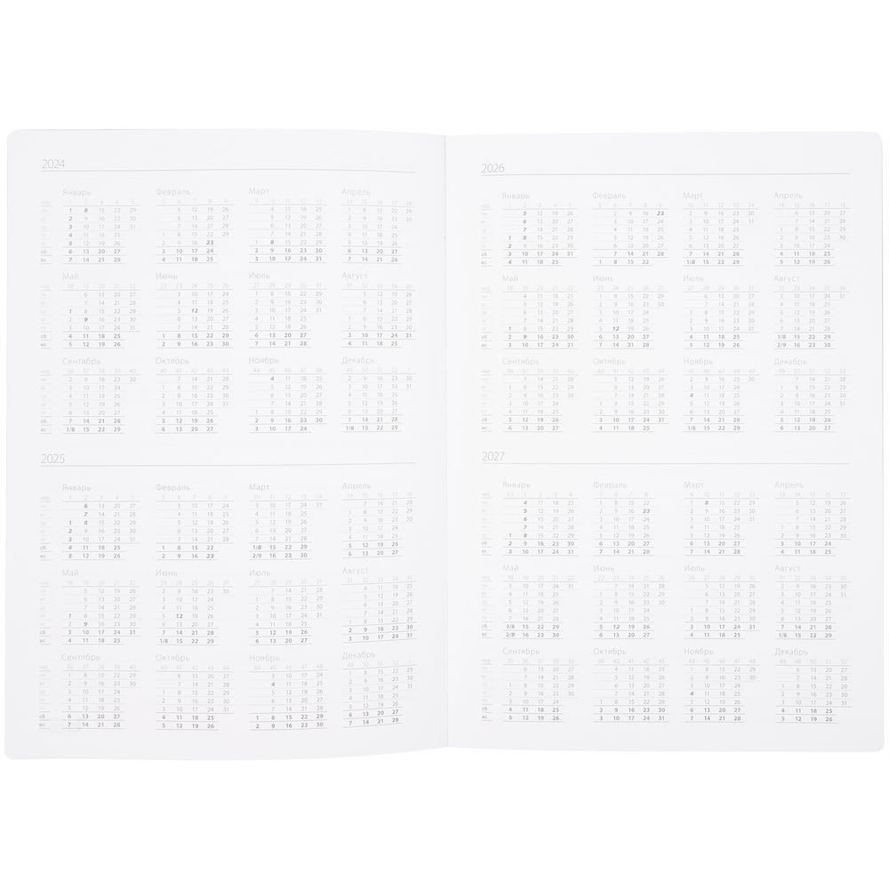 Ежедневник Nebraska Flex, недатированный, бордовый с серебристым / Миниатюра WWW (1000)