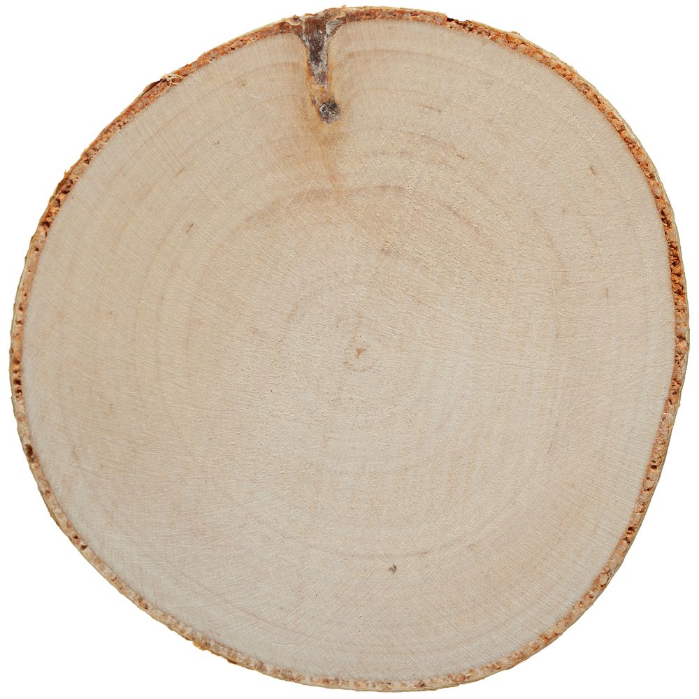 Набор костеров Birchdale / Миниатюра WWW (1000)