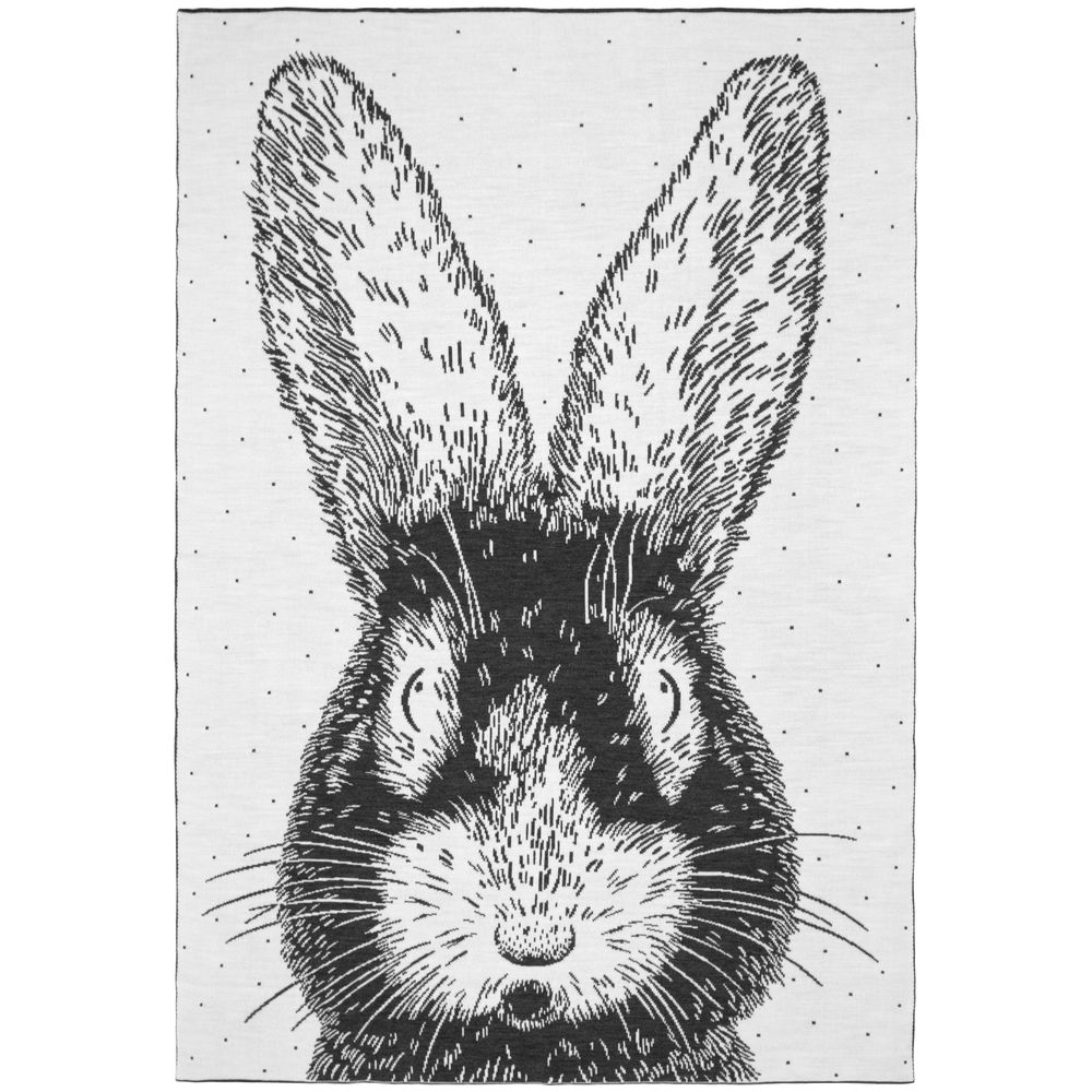 Плед Big Bun / Миниатюра WWW (1000)