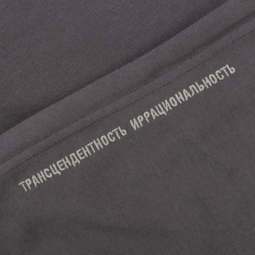 Худи «Трансцендентность», темно-серое / Миниатюра WWW (1000)