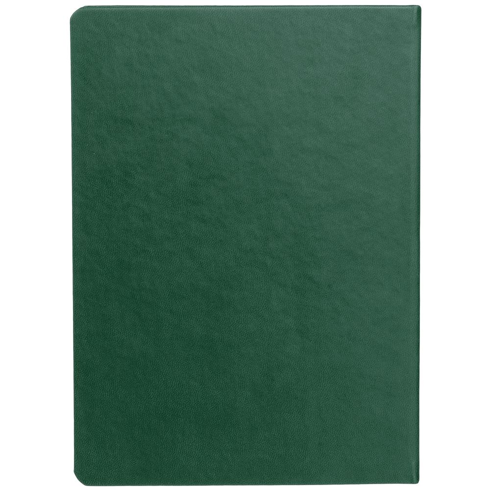 Ежедневник New Brand, недатированный, зеленый / Миниатюра WWW (1000)