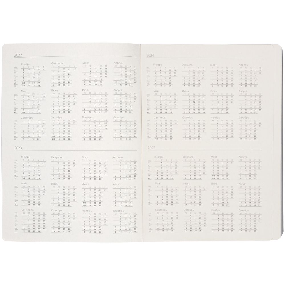 Ежедневник Shall, недатированный, серый / Миниатюра WWW (1000)