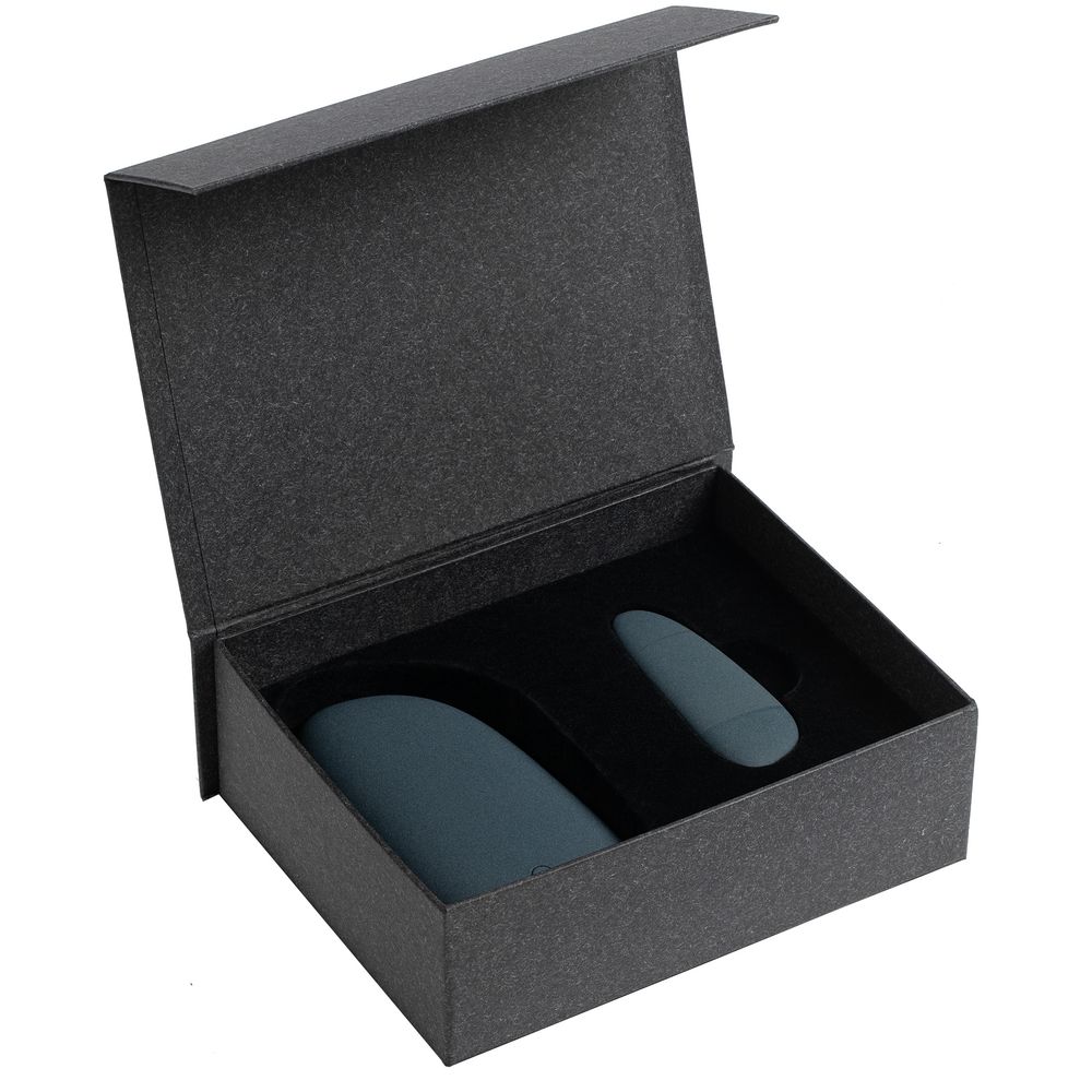 Набор Pebble Universal, средний, синий / Миниатюра WWW (1000)