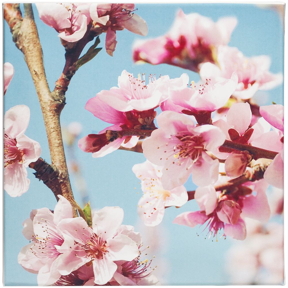 Настенная композиция «Цветение» / Миниатюра WWW (1000)