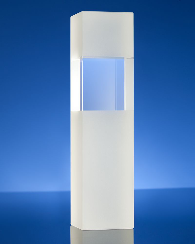 Награда Willpower II, уценка / Миниатюра WWW (1000)