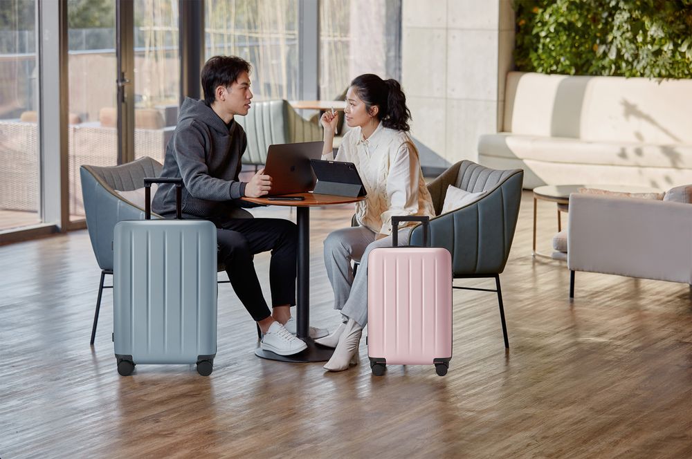 Чемодан Danube Luggage S, серый / Миниатюра WWW (1000)