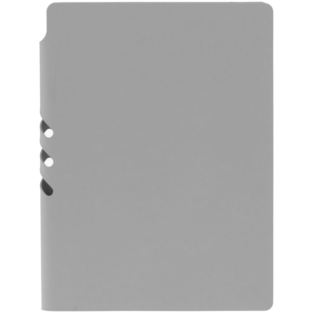 Ежедневник Flexpen Shall, недатированный, серый / Миниатюра WWW (1000)