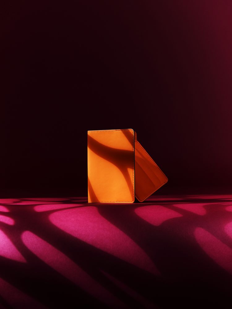 Обложка для паспорта Shall Simple, оранжевый / Миниатюра WWW (1000)