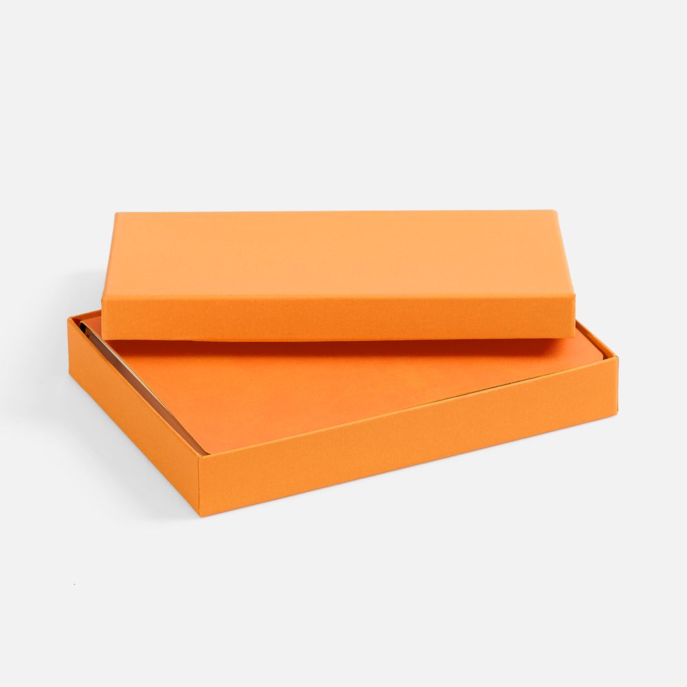 Коробка под ежедневник Startpoint, оранжевая / Миниатюра WWW (1000)