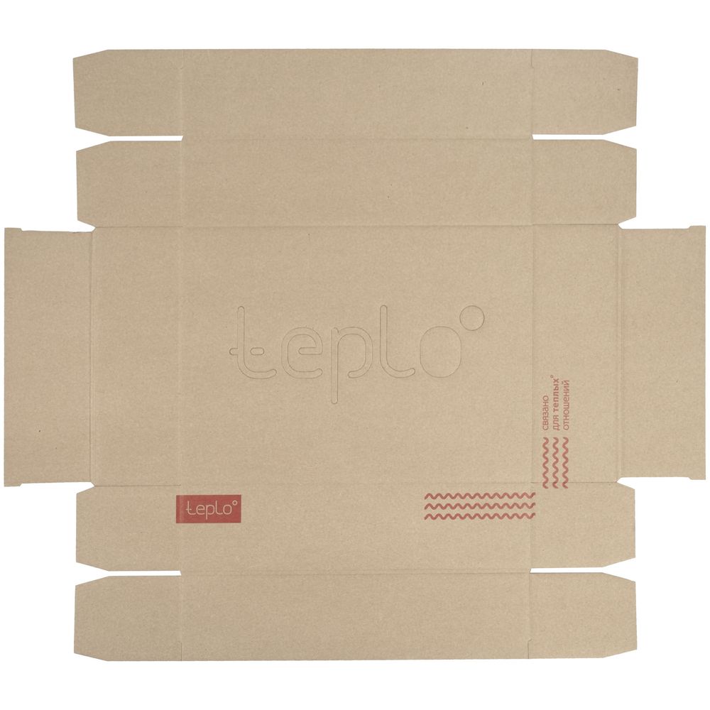Коробка Teplo, большая, крафт / Миниатюра WWW (1000)