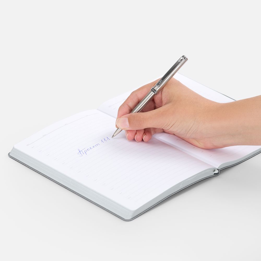 Ручка шариковая Delgado, серебристая / Миниатюра WWW (1000)