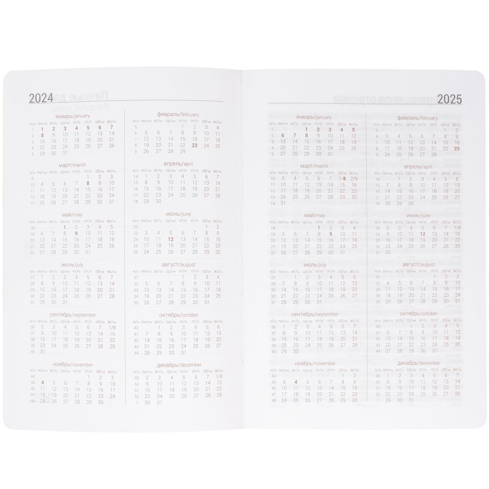 Ежедневник Basis, датированный, серый / Миниатюра WWW (1000)