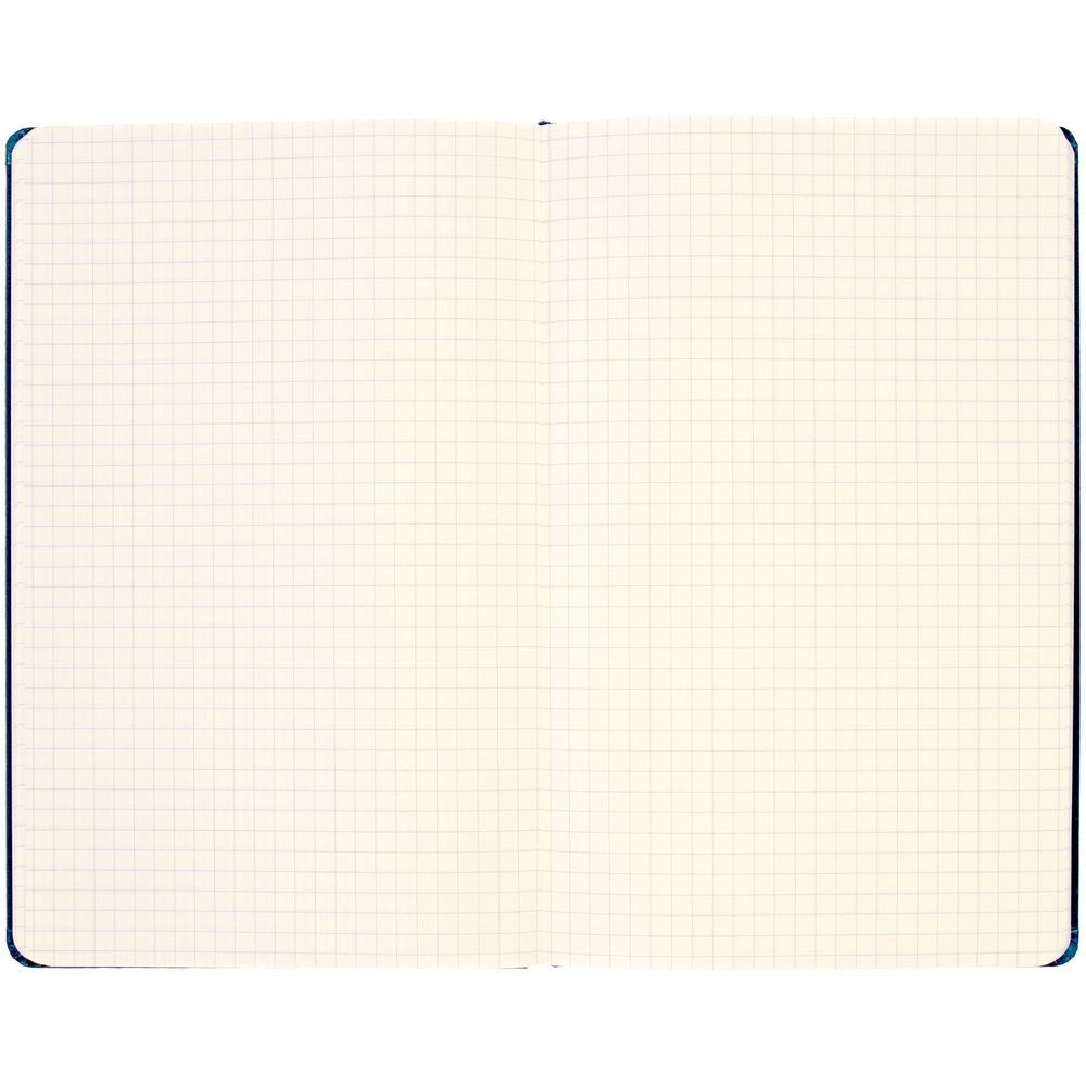 Записная книжка Moleskine Classic Large, в клетку, синяя / Миниатюра WWW (1000)