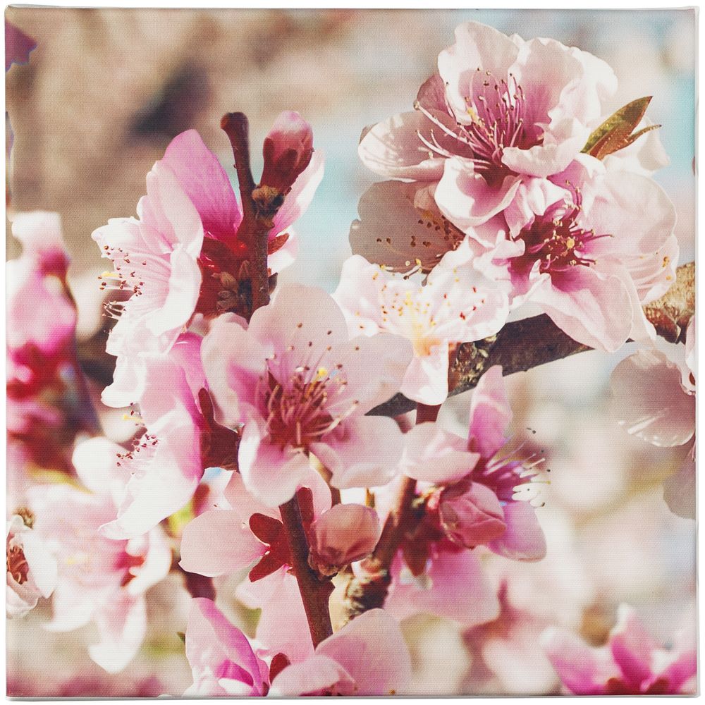 Настенная композиция «Цветение» / Миниатюра WWW (1000)