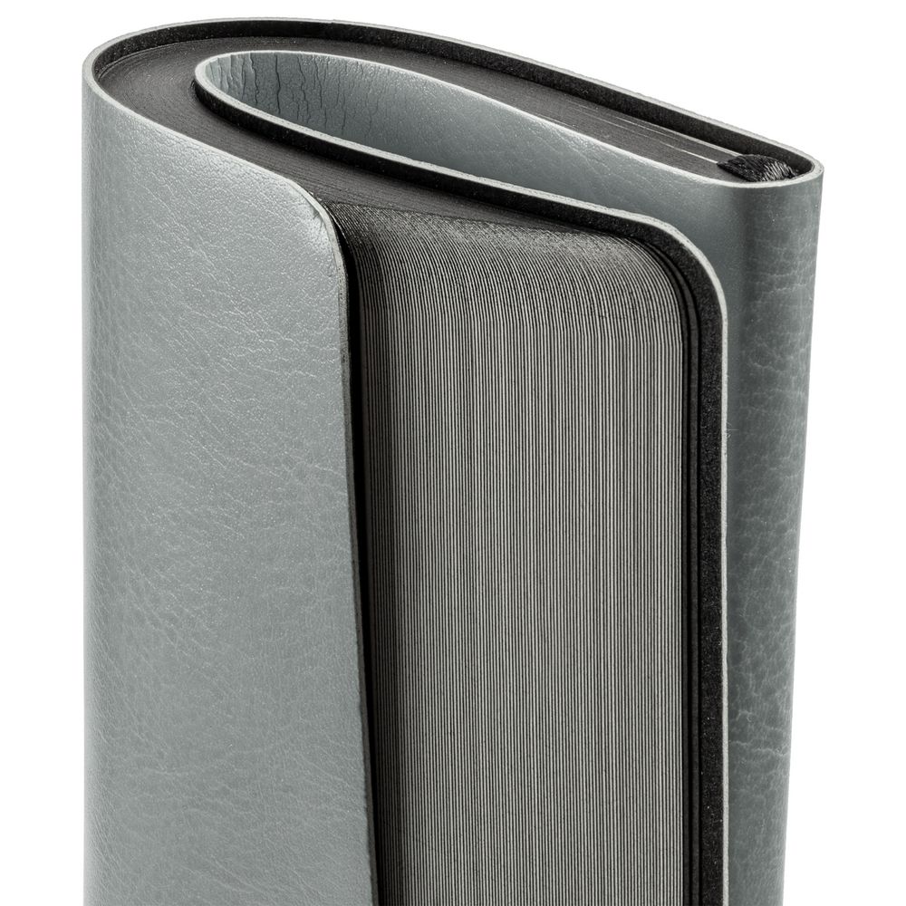 Ежедневник Shine, недатированный, серебристый / Миниатюра WWW (1000)