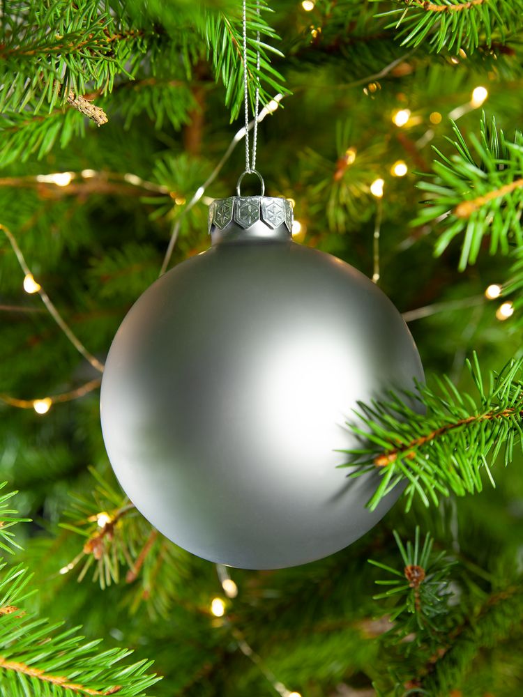 Елочный шар Finery Matt, 10 см, матовый серебристый / Миниатюра WWW (1000)