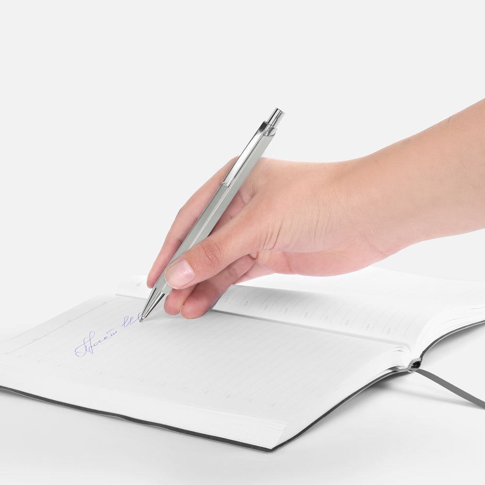 Ручка шариковая Alumno, серая / Миниатюра WWW (1000)