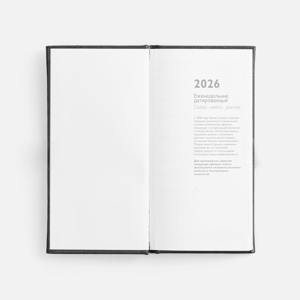 Еженедельник Baza, датированный, черный / Миниатюра WWW (1000)