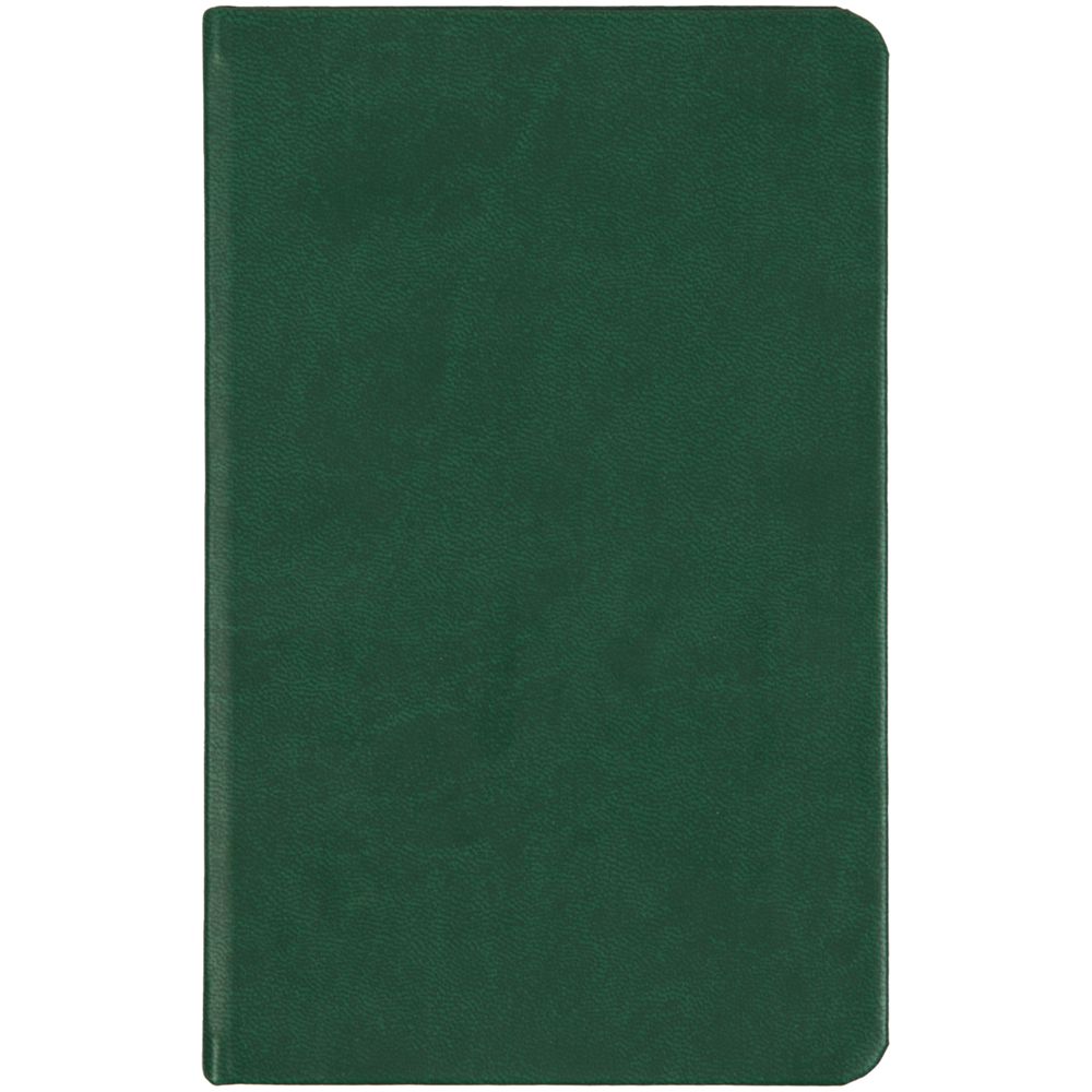 Ежедневник Basis Mini ver.2, недатированный, зеленый / Миниатюра WWW (1000)