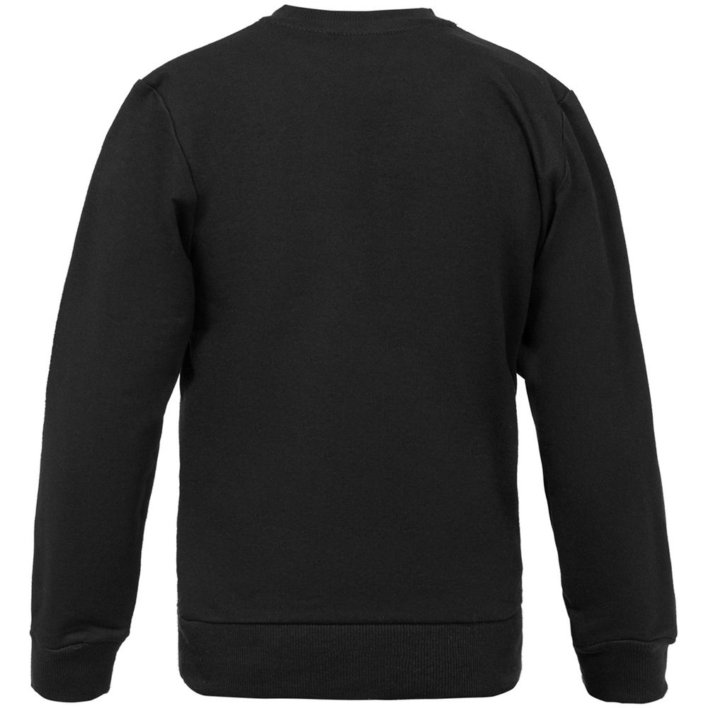 Свитшот детский Like a Lion, черный / Миниатюра WWW (1000)