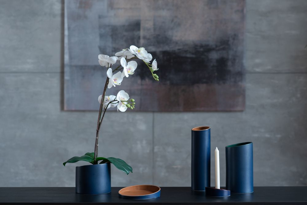 Блюдо Form Fluid, большое, бордовое / Миниатюра WWW (1000)