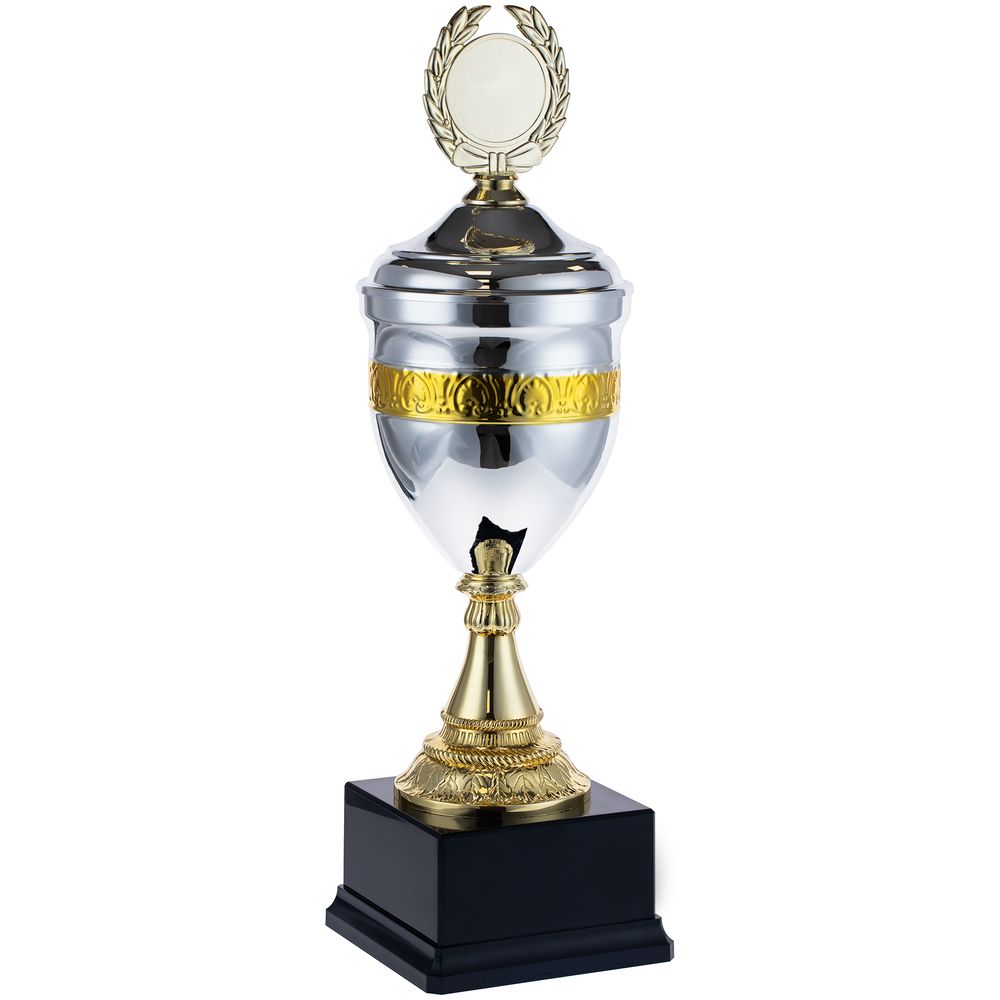 Кубок EnterPrize, серебристый / Миниатюра WWW (1000)