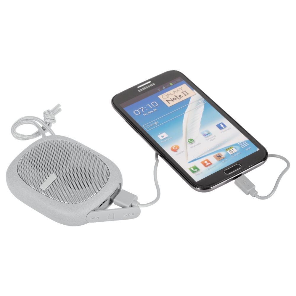 Беспроводная колонка c внешним аккумулятором Pebble / Миниатюра WWW (1000)