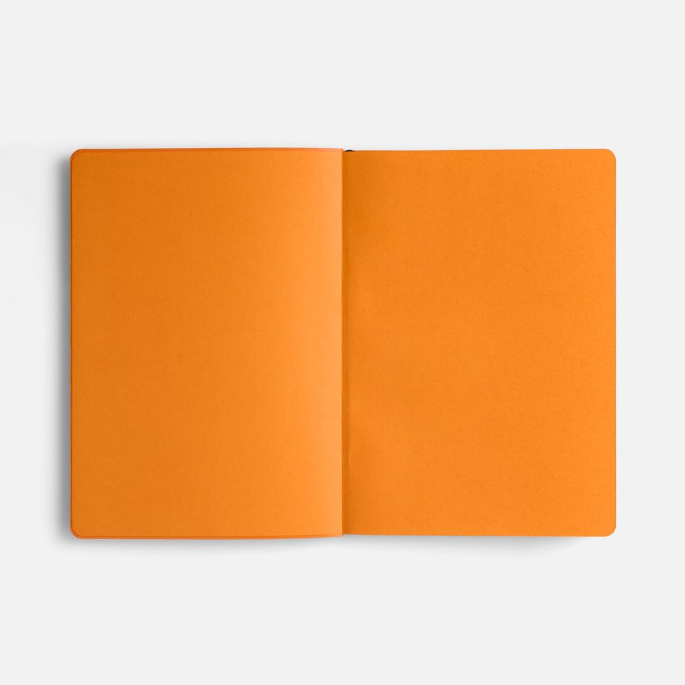 Ежедневник Doppio, недатированный, синий с оранжевым / Миниатюра WWW (1000)