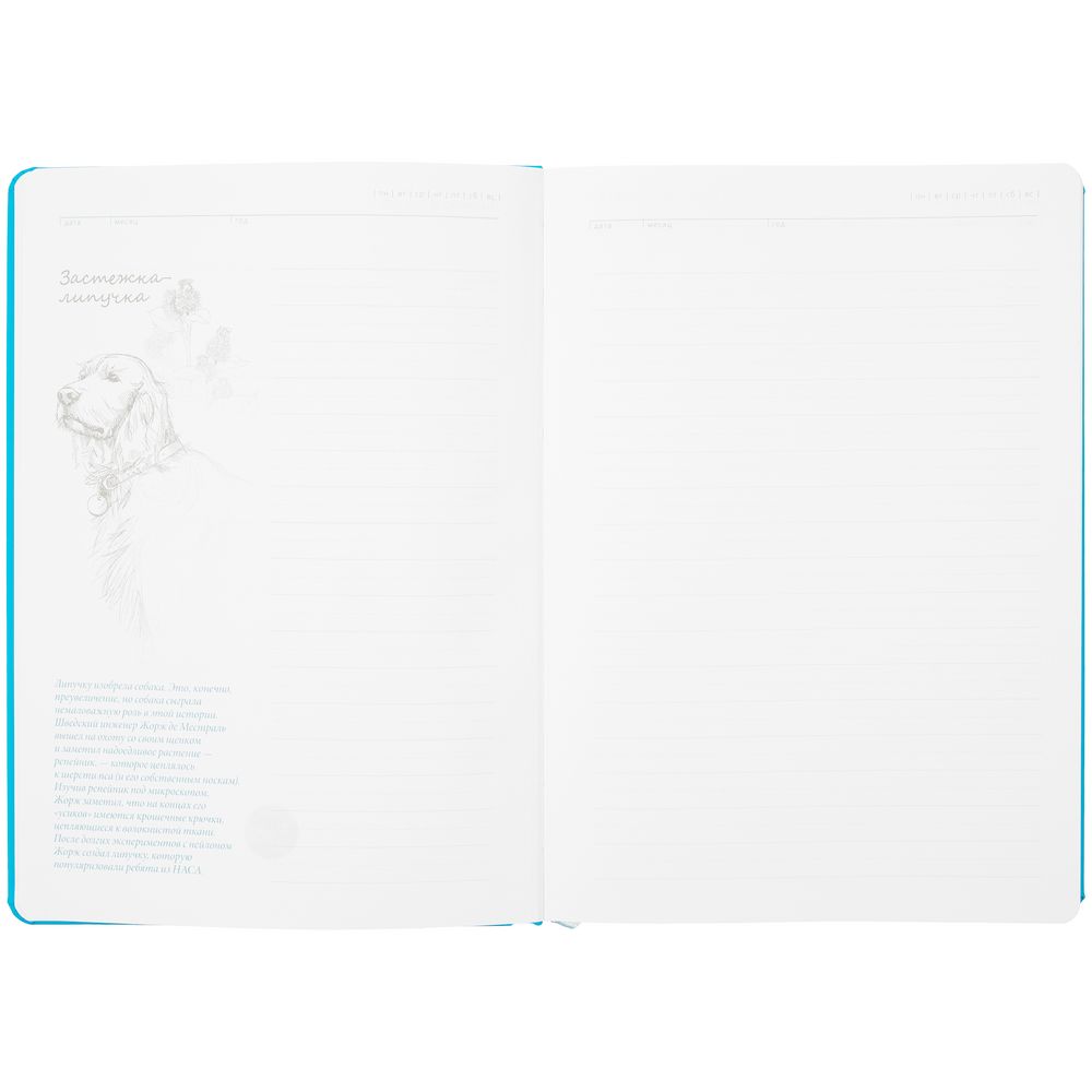 Ежедневник «История изобретений», недатированный, голубой / Миниатюра WWW (1000)