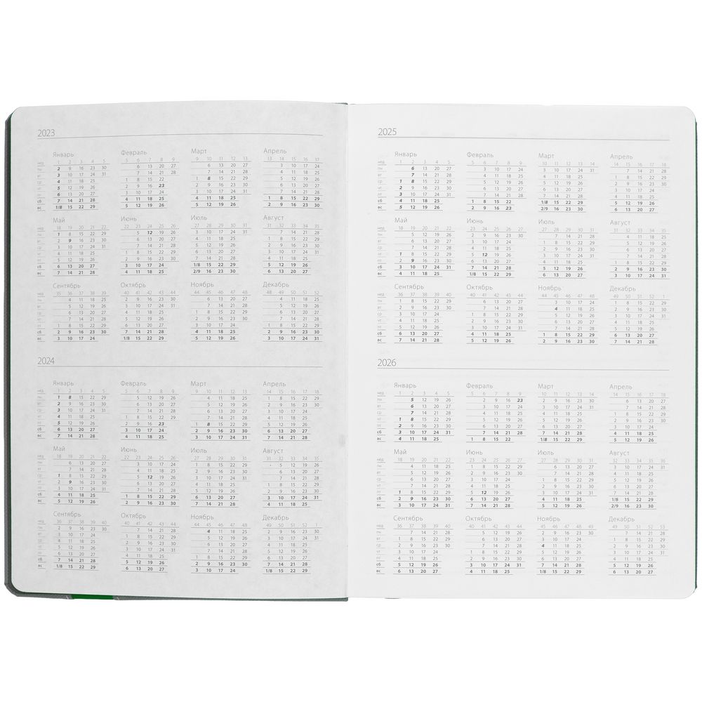 Ежедневник Rubikon, недатированный серо-зеленый / Миниатюра WWW (1000)