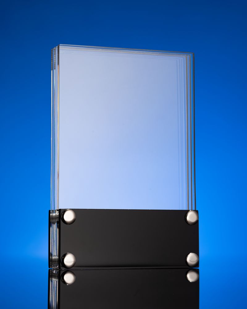 Награда Scriptum / Миниатюра WWW (1000)