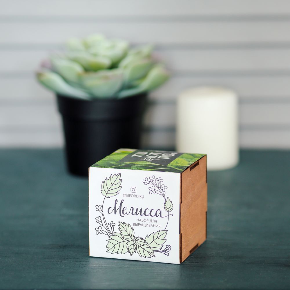 Набор для выращивания «Экокуб Lite», мелисса / Миниатюра WWW (1000)