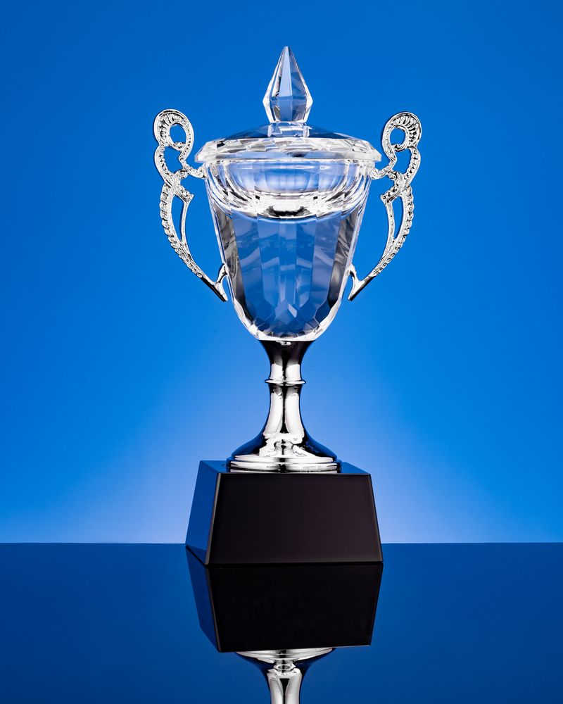 Кубок Victorious, малый, уценка / Миниатюра WWW (1000)