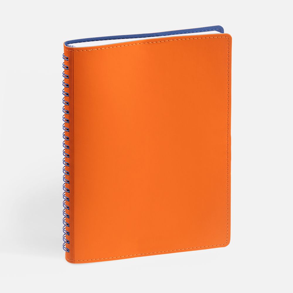 Ежедневник Spring Shall, недатированный, оранжевый / Миниатюра WWW (1000)