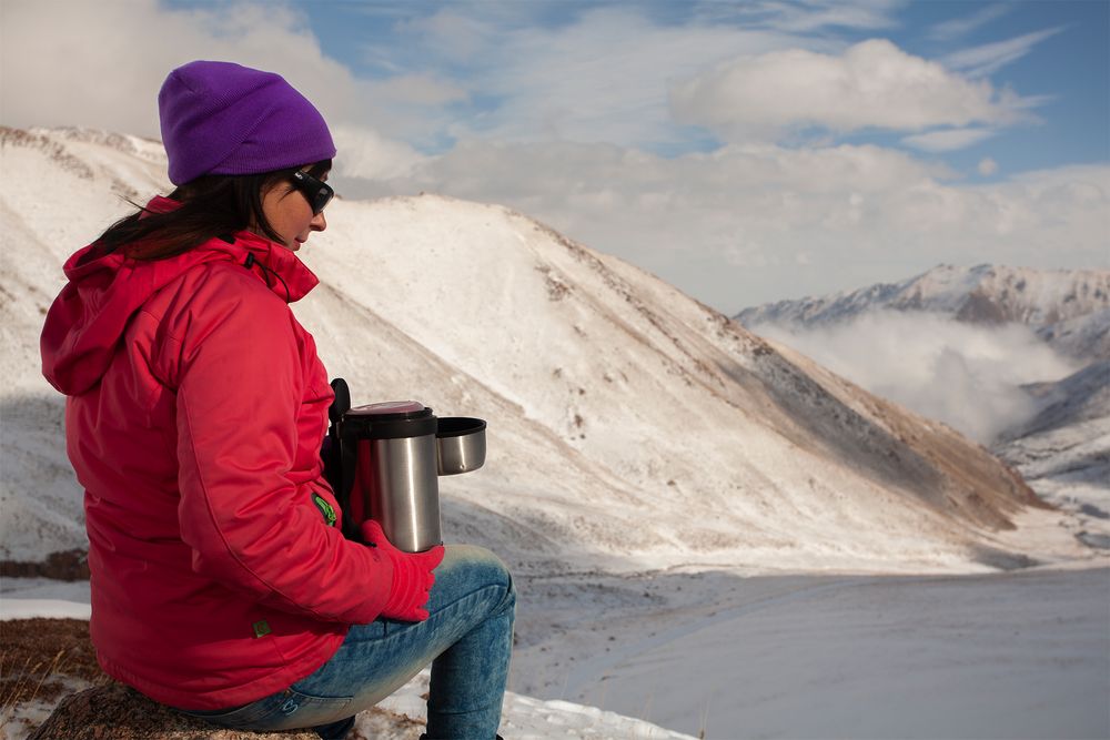 Термос для еды с контейнерами «Арктика 1500», стальной / Миниатюра WWW (1000)