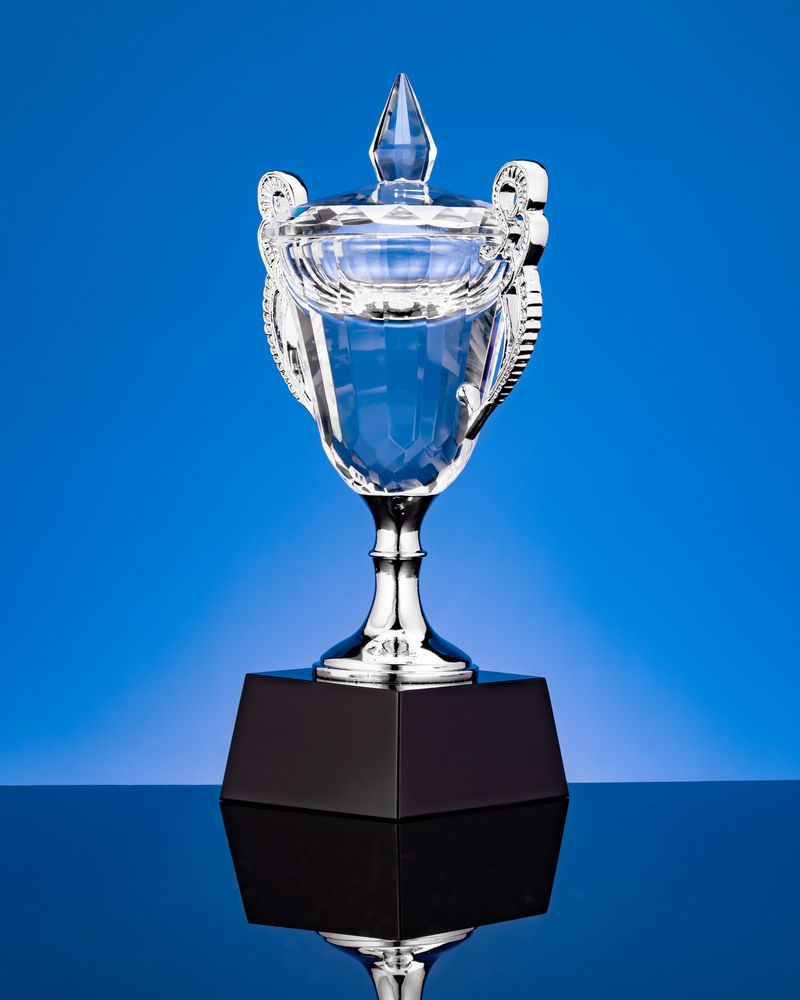 Кубок Victorious, малый, уценка / Миниатюра WWW (1000)