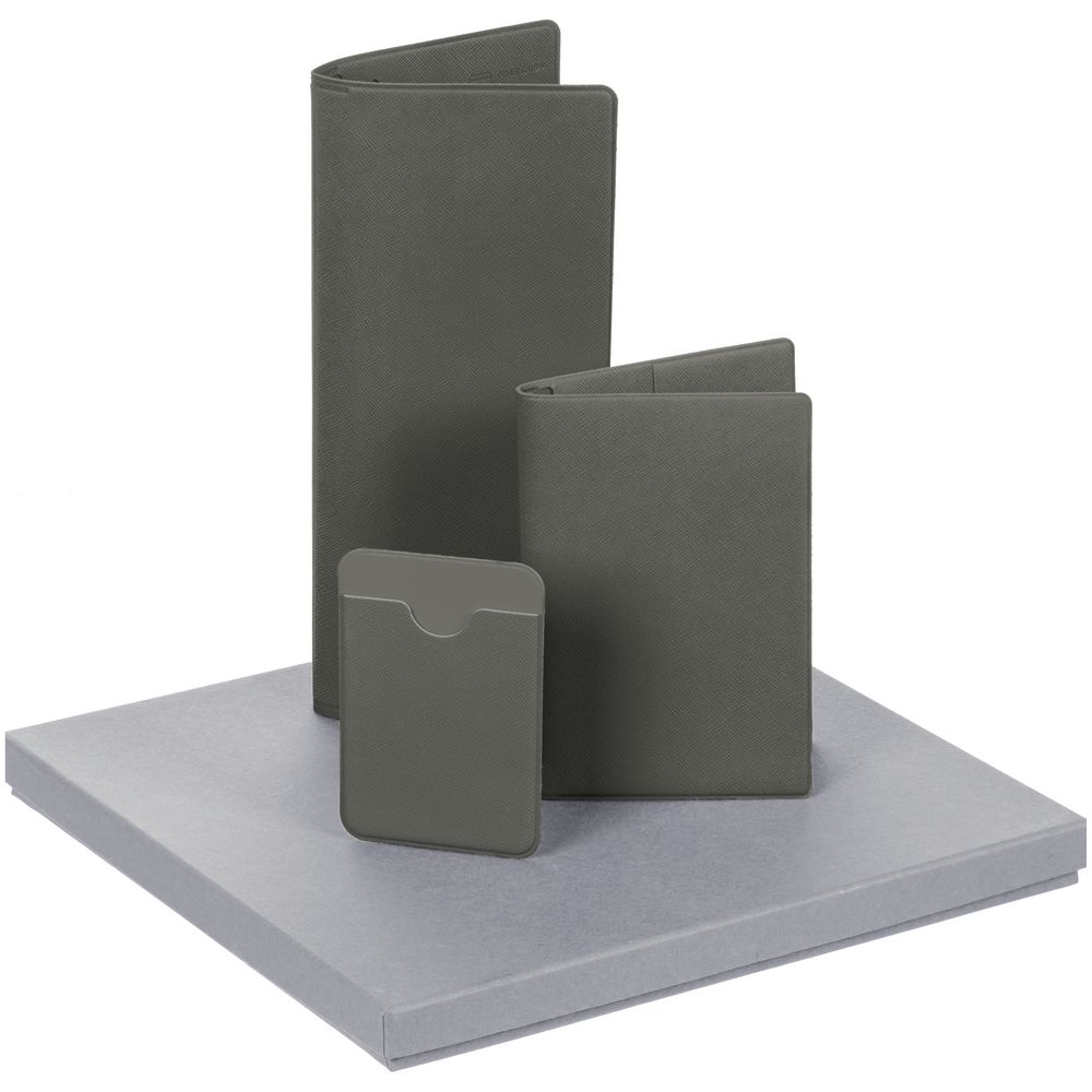 Набор Devon, серый / Миниатюра WWW (1000)