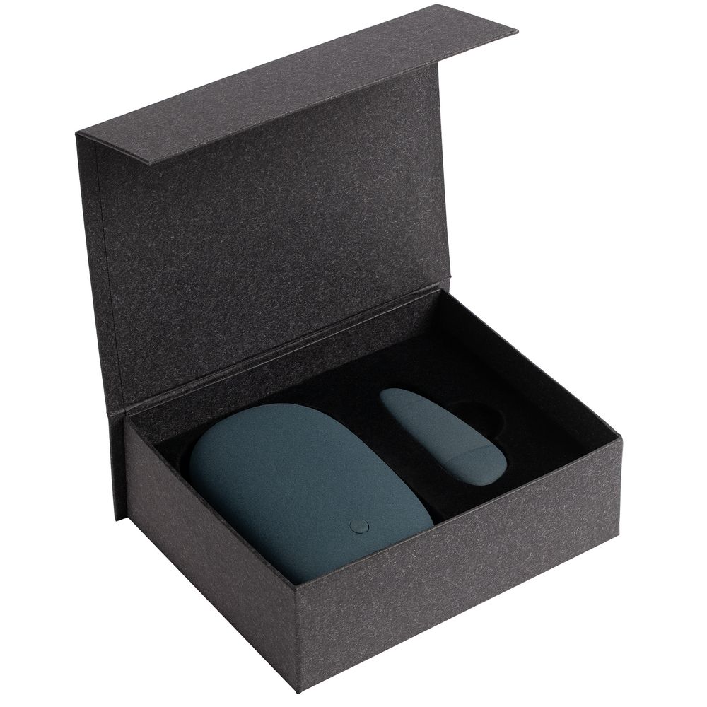 Набор Pebble Universal, большой, синий / Миниатюра WWW (1000)