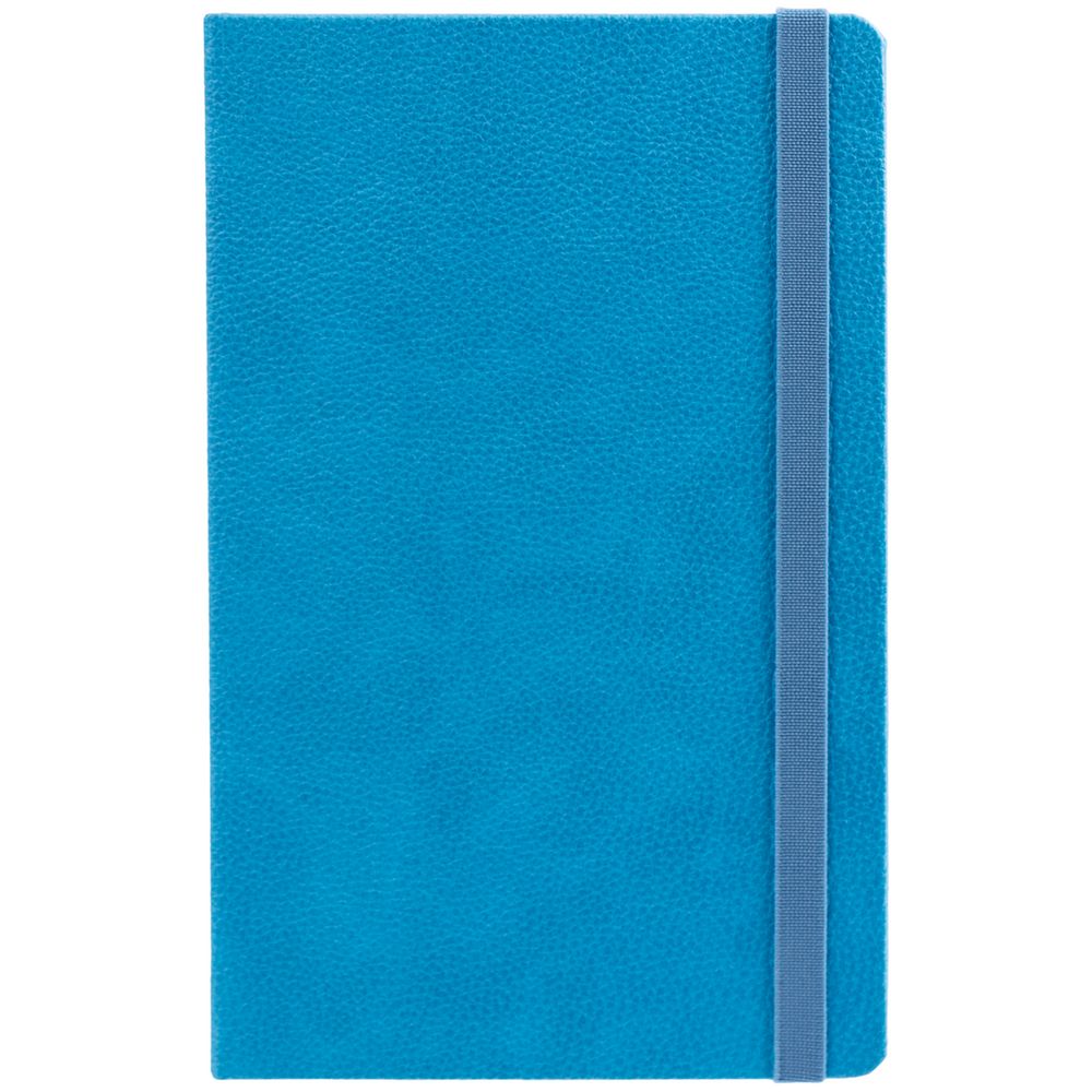 Ежедневник Nova, недатированный, голубой / Миниатюра WWW (1000)