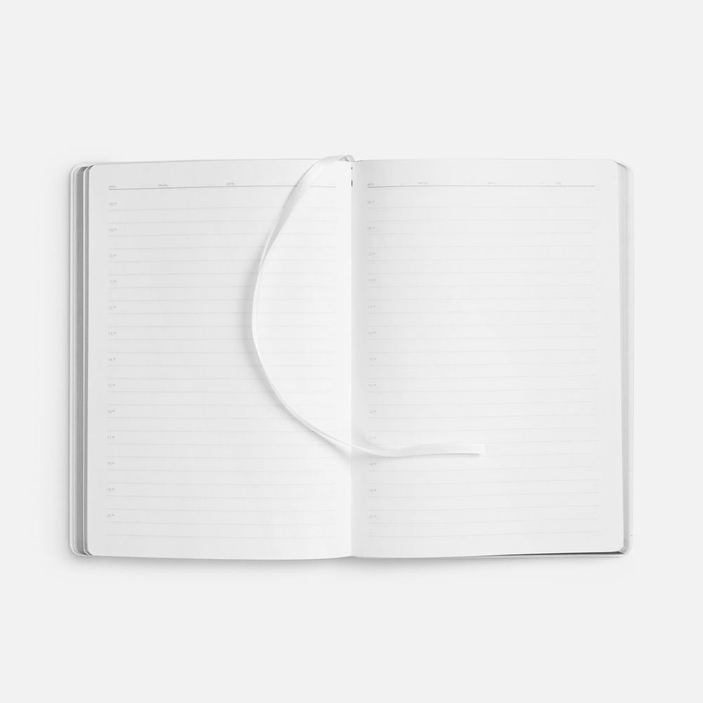 Ежедневник Nebraska Flex, недатированный, белый с серебристым / Миниатюра WWW (1000)