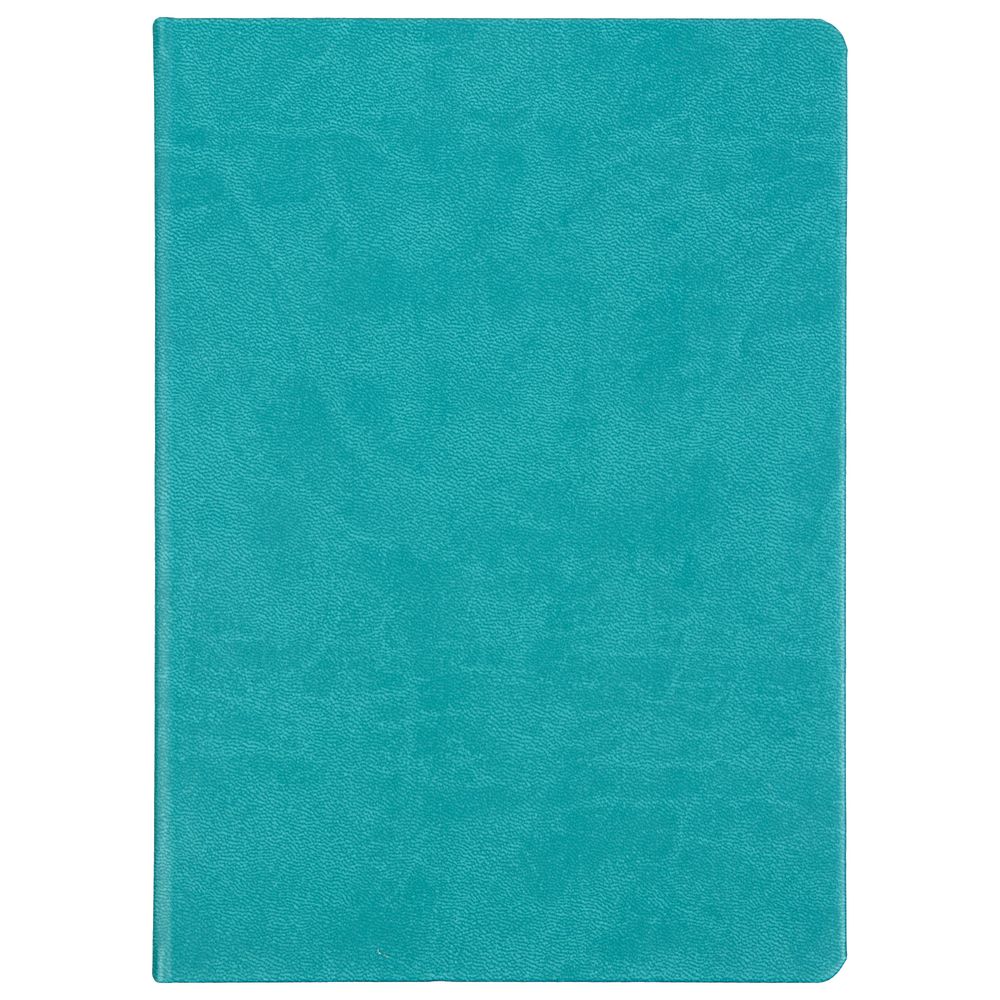 Ежедневник Basis, датированный, бирюзовый / Миниатюра WWW (1000)