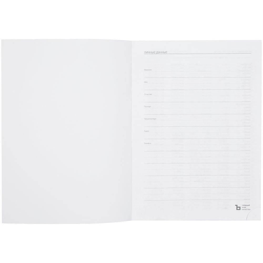 Ежедневник Latte Maxi, недатированный, серый / Миниатюра WWW (1000)