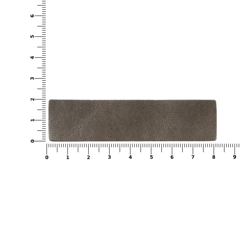 Лейбл кожаный Pasek, серый / Миниатюра WWW (1000)