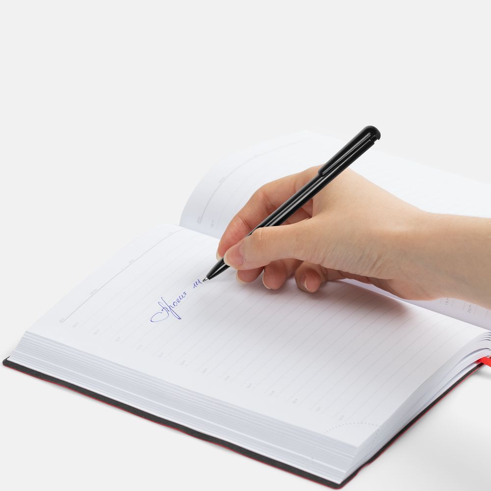 Ручка шариковая Penpal, черная / Миниатюра WWW (1000)